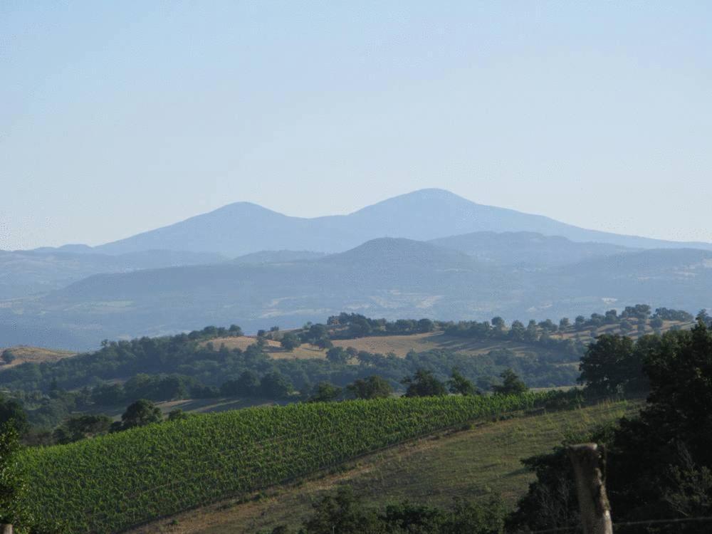 Le Murelle Country Resort Manciano Eksteriør billede